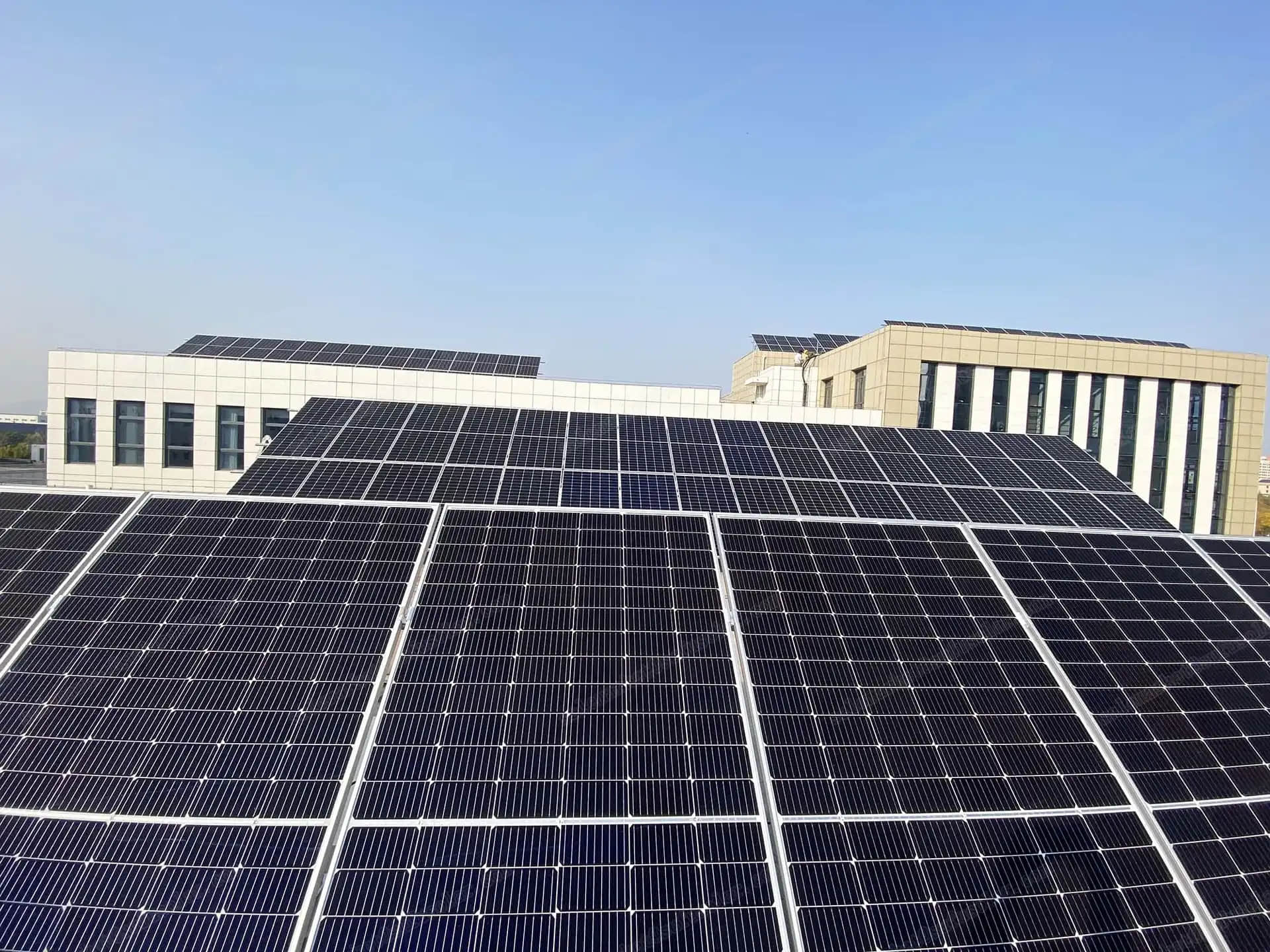  Your Solar Panels Can Pay You: The Grid-Tied Secret