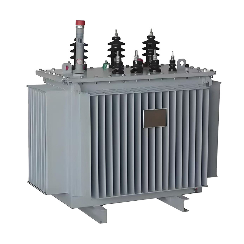 S11-M-6KV/22KV Oil-Immersed Power Transformer